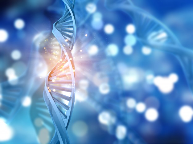 Une méta-analyse publiée dans The British Medical Journal démontre que si la prise de poids peut être est causée par le manque d’activité physique et une alimentation peu équilibrée, la génétique a aussi son mot à dire.