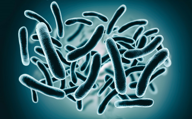 Pour tenter d’enrayer l’épidémie d’obésité, l’équipe de recherches de TargEDys, une entreprise de recherches en biotechnologie, a mis au point un complément alimentaire capable de réguler l’appétit grâce au microbiome.