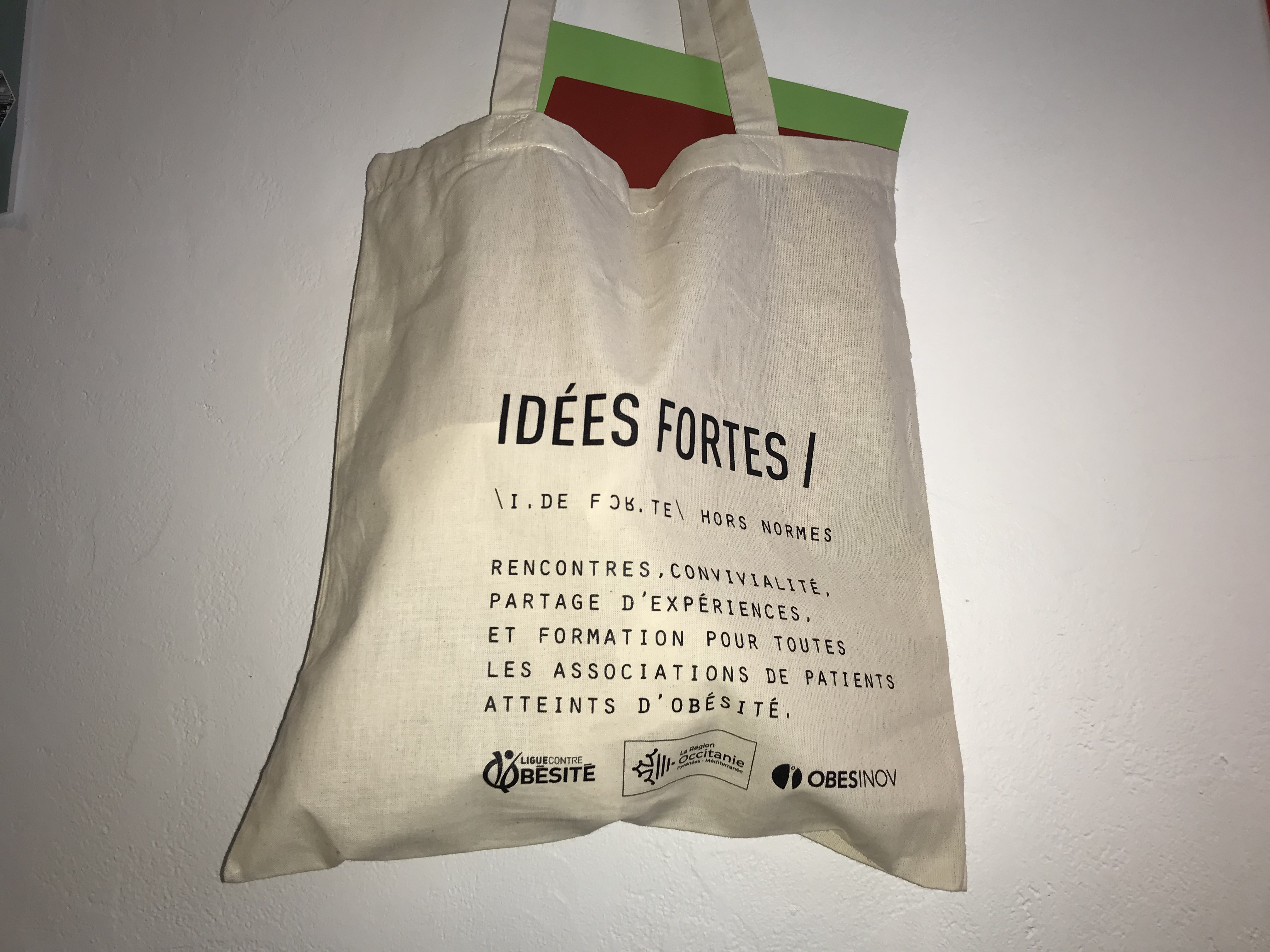 Organisées par la Ligue contre l’obésité, les 4èmes Rencontres des associations de patients se déroulent du vendredi 15 au dimanche 17 novembre. Parmi les temps cruciaux : les remises des bourses Obésinov et Santinov, ainsi que des séances plénières qui rassembleront 150 personnes.