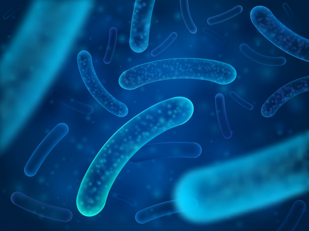 Les scientifiques cherchent à identifier des profils taxonomiques (1) et fonctionnels du microbiome intestinal qui caractérisent de manière unique l'obésité et le diabète de type 2.