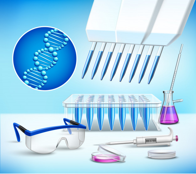 Selon des recherches réalisées par une équipe américaine de la New York University School of Medicine, les enfants en surpoids accueillent des niveaux plus élevés de bisphénol S (BPS) et de bisphénol F (BPF) que les enfants de poids normal.