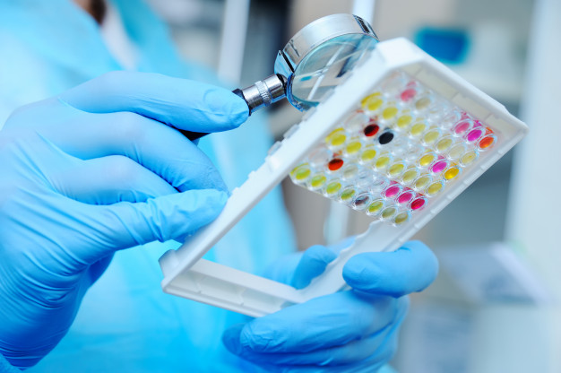 Si l’obésité est l’une des maladies complexes courantes aux États-Unis et si elle constitue un défi de santé publique tenace depuis des décennies, ses causes sont très variées. Parmi elles : l’héritabilité génétique est de plus en plus considérée comme un facteur influent dans la détermination du risque d’une personne pour la maladie.