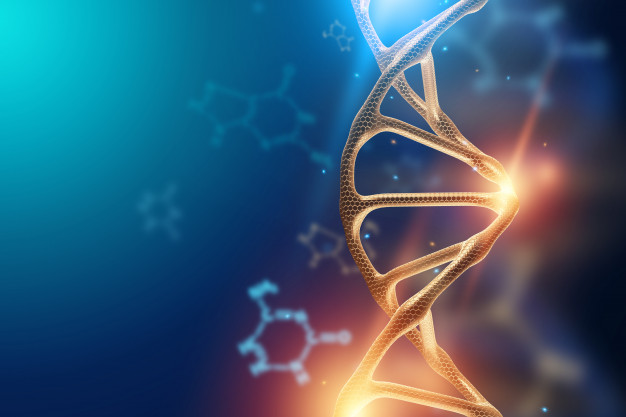 Selon une étude conduite par des chercheurs de l’Hôpital général de Chongqing en Chine, des mutations dans le gène MC4R (récepteur de la mélanocortine) seraient associées à un risque plus élevé d’obésité, y compris chez des individus ayant un mode de vie sain.