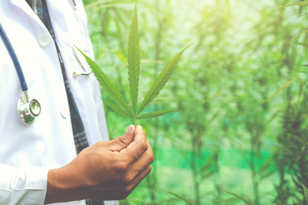 Des chercheurs californiens travaillent sur des molécules similaires au cannabis fabriquées naturellement par l’organisme. Ils espèrent que la réduction de ces endocannabinoïdes pourrait entraîner une meilleure régulation du comportement alimentaire.