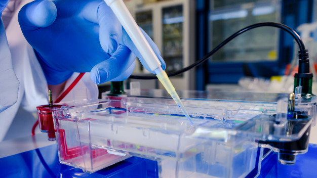 Selon des chercheurs basés à Karlsruhe et Dallas, les cellules adipeuses produisent de grandes quantités d’une protéine que le Covid-19 utiliserait pour infiltrer les cellules humaines. « Une porte d’entrée » qui expliquerait pourquoi les personnes obèses peuvent être plus à risque de mourir du coronavirus.