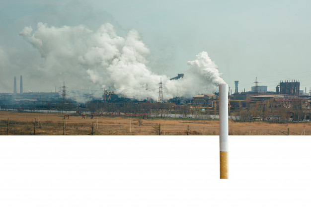 Les expositions chimiques et non chimiques à l’environnement sont de plus en plus soupçonnées d’influencer le développement de l’obésité, en particulier au début de la vie. L’étude Hélix menée en Europe a évalué l’association entre un large éventail d’expositions environnementales précoces et l’obésité infantile. Les résultats sont sans appel.
