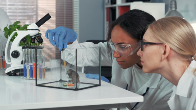 Si le stress psychologique aigu peut conduire à l’inflammation, les mécanismes derrière cette réaction restent peu clairs. Dans une nouvelle étude américaine sur la souris, les chercheurs de l’université américaine de Yale révèlent que ce processus inflammatoire peut provenir de cellules adipeuses brunes.