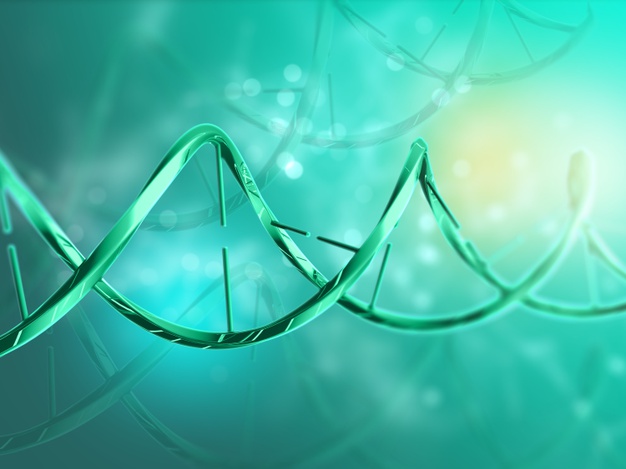 Selon deux études publiées dans la revue Science, 15% des formes graves du Covid-19 s'expliquent par des anomalies génétiques et immunologiques chez les patients. En cause : l’inaction anti-virale des interférons. Ces découvertes pourraient permettre de dépister les personnes qui risquent de développer une forme grave, et mieux les prendre en charge. Considérées comme vulnérables, les personnes souffrant d’obésité pourraient bénéficier de ces recherches.