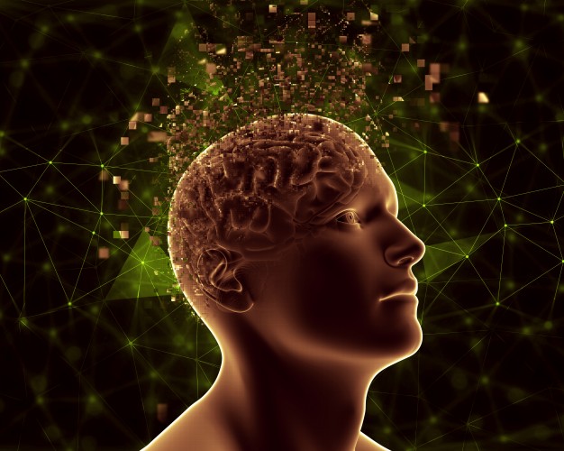 Une équipe de scientifiques danois a identifié des populations de cellules cérébrales qui sont associées à l’obésité. Ces variantes génétiques affecteraient la façon dont le cerveau traite l’information sensorielle et de réguler l’alimentation et le comportement. Ce qui fait dire aux chercheurs que l’obésité est « une maladie complexe qui ne peut pas être réduit au manque de volonté ».