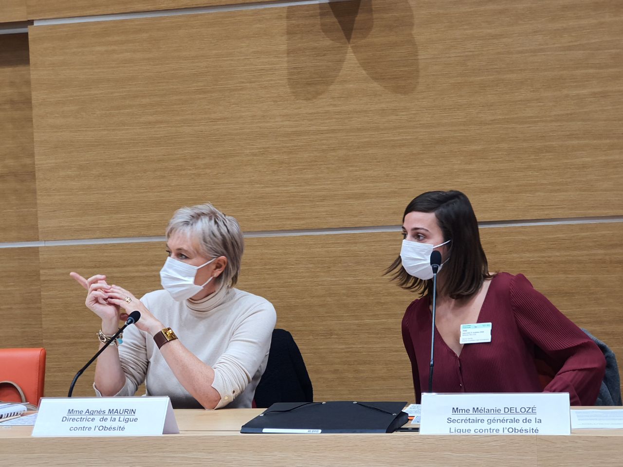 Agnès Maurin, la directrice générale de la Ligue contre l’obésité et Mélanie Delozé, secrétaire générale et directrice scientifique de l’association, ont répondu, mercredi 21 octobre, aux questions de la présidente Elisabeth Toutut-Picard et de la rapporteure Sandrine Josso sur la perception et la place de l’obésité dans les politiques de santé publique. Il a été notamment question de l’impact des perturbateurs endocriniens. Morceaux choisis.