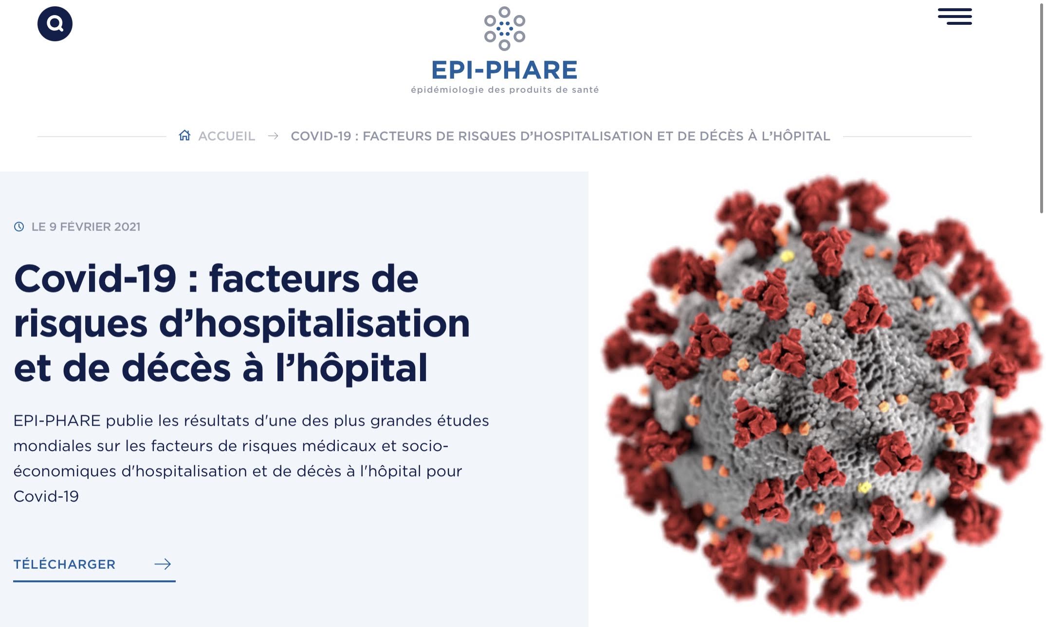 Une vaste étude française menée par le groupement d'intérêt scientifique Epi-Phare entre le 15 février et le 15 juin 2020 sur la quasi-totalité de la population française a permis d’identifier les maladies chroniques et divers facteurs susceptibles de présenter un sur-risque d’hospitalisation ou de décès pour Covid-19. Les résultats viennent d’être révélés. Mais les chiffres de l’obésité ne bénéficient pas de la transparence qu’ils méritent...