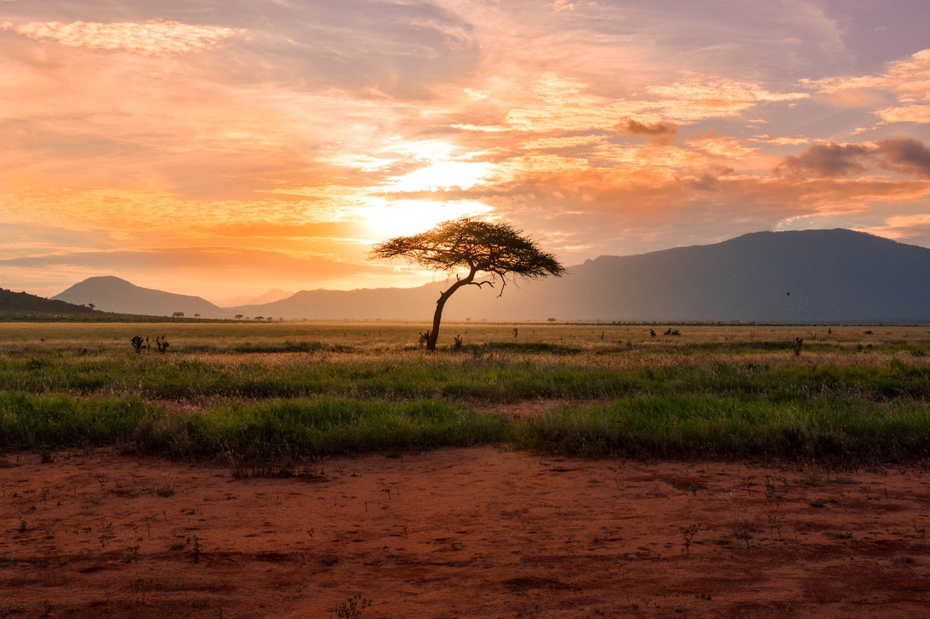 Si la famine est répandue sur le continent africain, une autre épidémie guette de nombreux pays de l’Afrique subsaharienne : l’obésité. La malnutrition, la croissance économique rapide, l’urbanisation, la peur du manque et la faiblesse des ressources médicales et sanitaires constituent des facteurs qui inquiètent les responsables des Nations unies. Une enquête du New York Times.